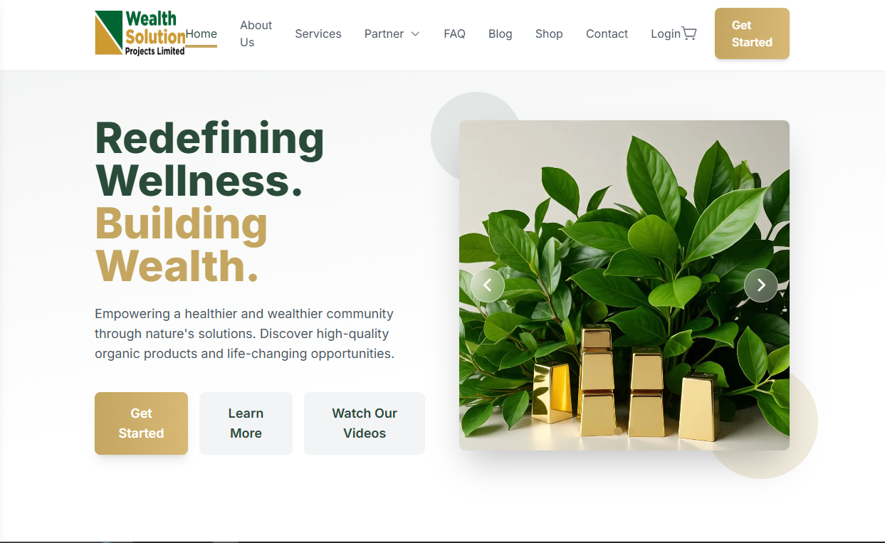 Wealth Solution Projects Limited website preview